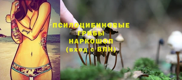 марихуана Абаза