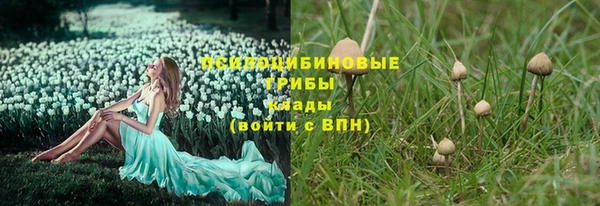 наркотики Алексеевка